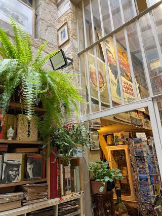 Librairie Librairie La NUIT DES ROIS 0