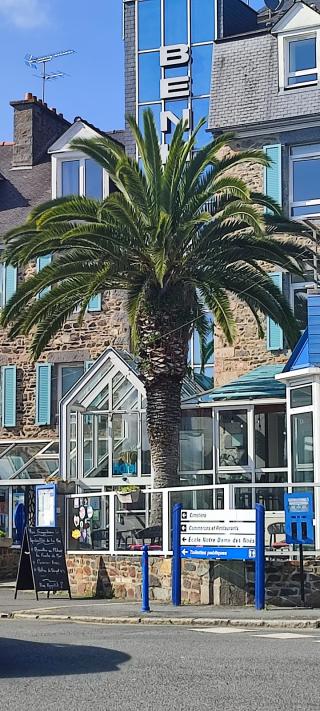 Librairie La Maison de la Presse 0