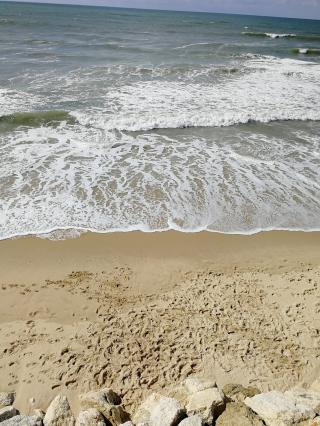 Librairie Maison de la Presse 0