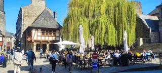 Librairie Comité Rencontres Internationales Harpe Celtique 0