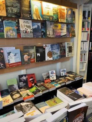 Librairie Librairie Pécari Amphibie 0