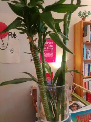 Librairie L'Attrape-Mots 0