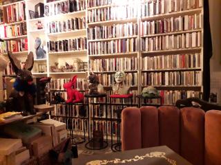 Librairie Atelier des Curiosités librairie - Bouquinerie 2