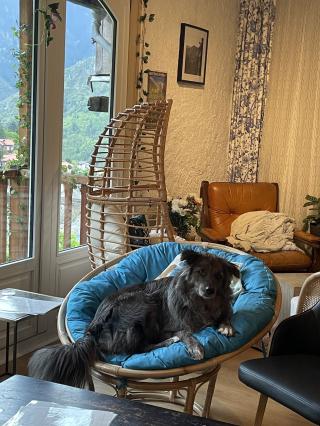 Librairie Librairie-café La Vagabonde 1