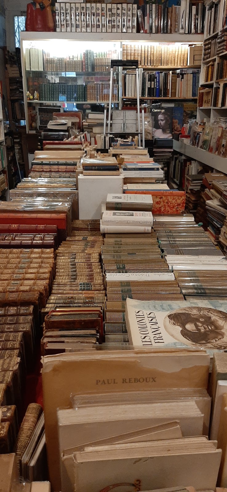Librairie Bloody Mary