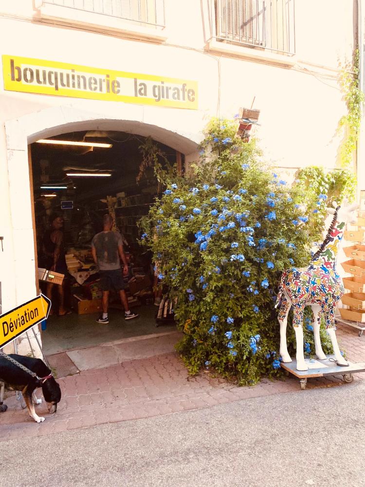 Bouquinerie La Girafe