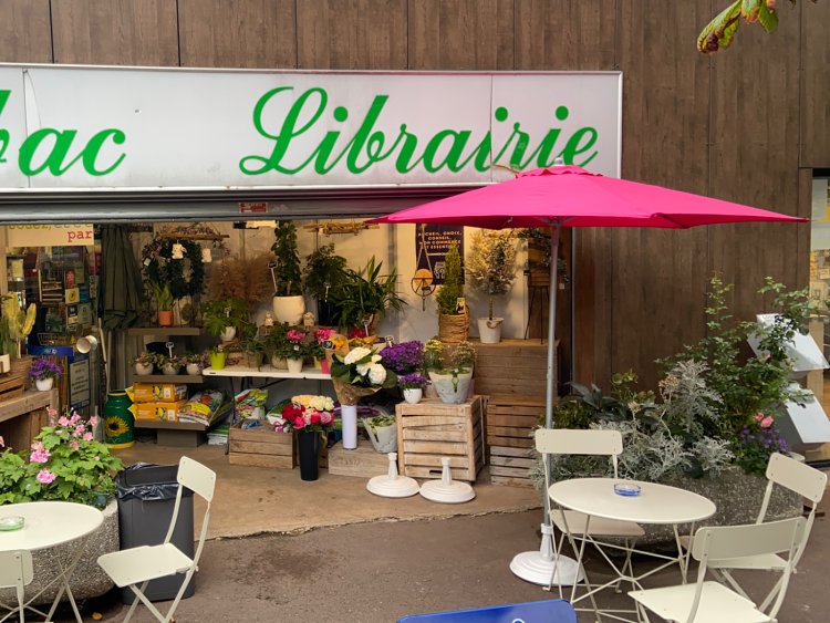 la Civette Des Erables