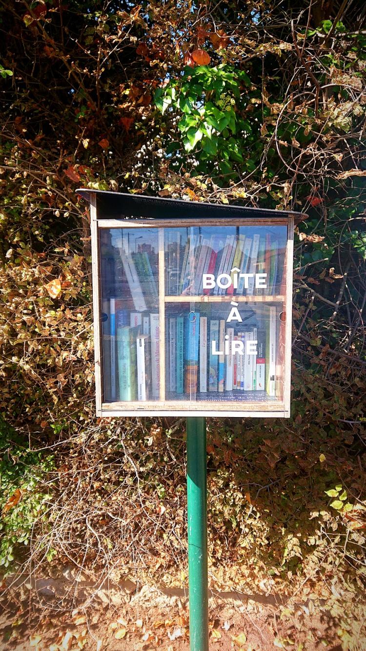 Livres et bande-dessinées